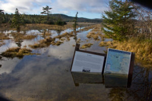 Cape Scott Provincial Park, flooded path, signs under water, Canada Cape Scott Provincial Park, flooded path, signs under water, Canada